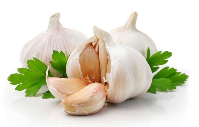 टीबी lahsun garlic