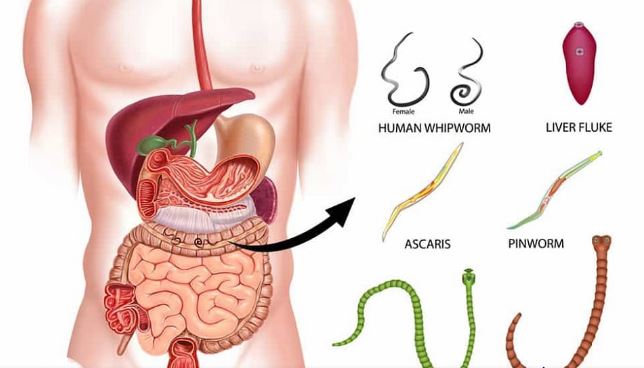 Prevention of parasitic disease in children