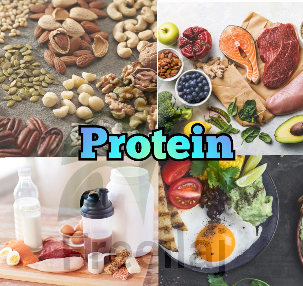प्रोटीन [ protein ]