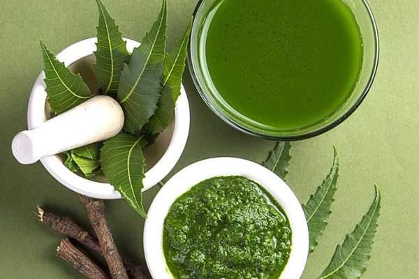 uses of neem