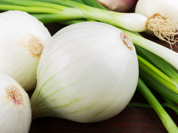 white-onion, सफेद प्याज