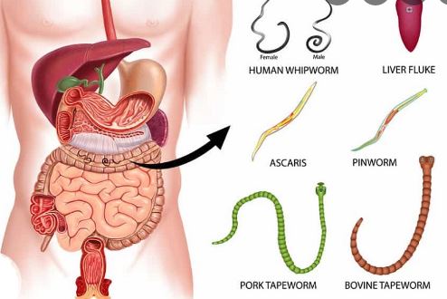 Helminthiasis treatment