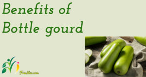 Read more about the article लौकी खाने के फायदे[Benefits of bottle gourd]